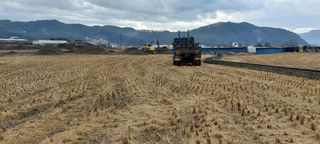 한마음농원님의 벼 · 자유게시판 작성글 사진