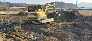 한마음농원님의 벼 · 자유게시판 작성글 사진