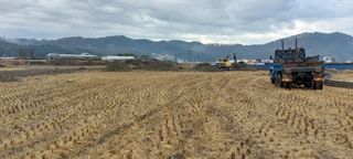 한마음농원님의 벼 · 자유게시판 작성글 사진