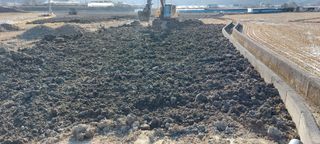 한마음농원님의 벼 · 자유게시판 작성글 사진