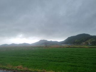 나민님의 자유주제 · 자유게시판 작성글 사진