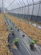 팜모닝 자유주제·자유게시판 게시글 이미지