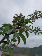 팜모닝 콩·자유게시판 게시글 이미지