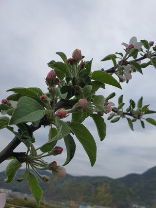 연민님의 콩 · 자유게시판 작성글 사진