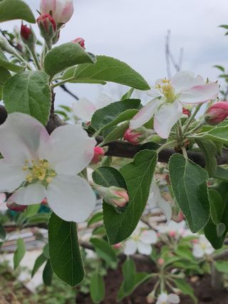 연민님의 콩 · 자유게시판 작성글 사진