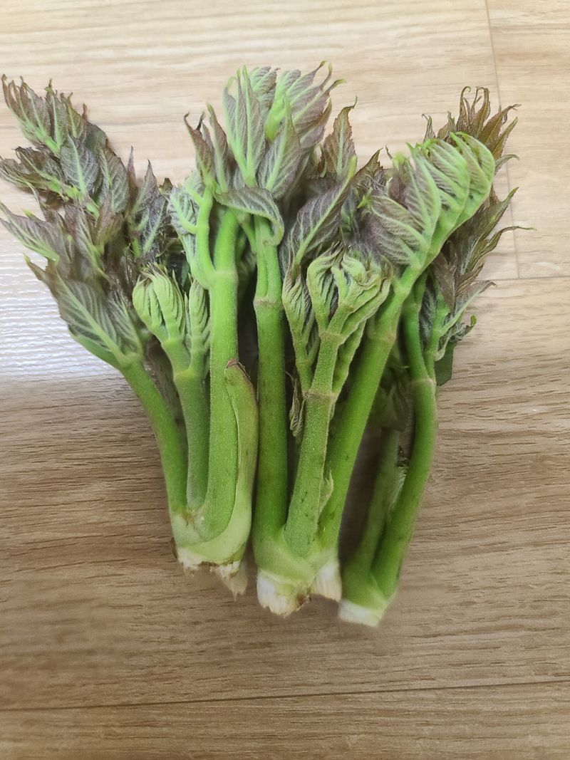 장터 상품 [두릅1kg] 썸네일