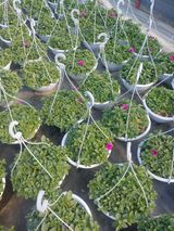 팜모닝 자유주제·자유게시판 게시글 이미지