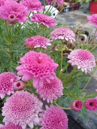 김은진님의 자유주제 · 자유게시판 작성글 사진