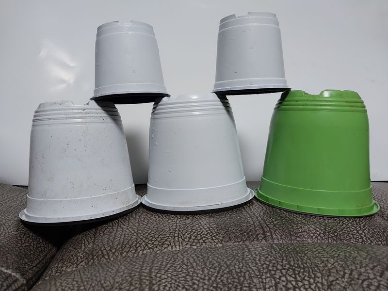 장터 상품 [칼라포트10cm,15cm] 썸네일