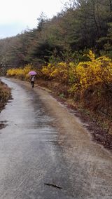 팜모닝 자유주제·자유게시판 게시글 이미지