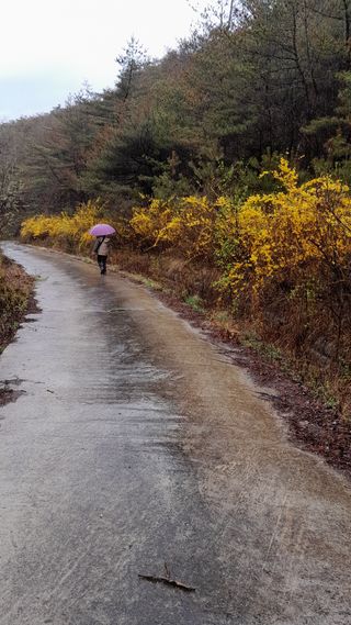 이윤동님의 자유주제 · 자유게시판 작성글 사진