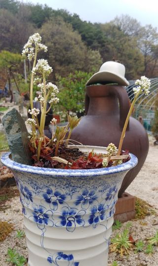 알 수 없음님의 기타작물 · 자유게시판 작성글 사진