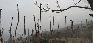 워람농장ㆍ황일택ㆍ님의 자유주제 · 자유게시판 작성글 사진