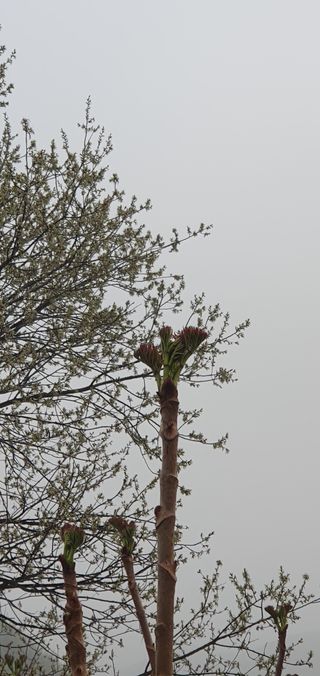 워람농장ㆍ황일택ㆍ님의 자유주제 · 자유게시판 작성글 사진
