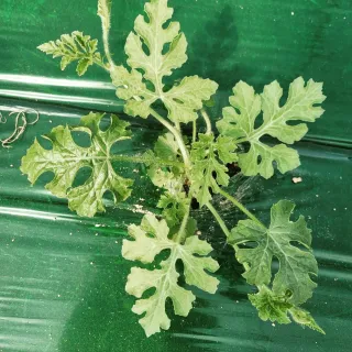 한미님의 자유주제 · 자유게시판 작성글 사진