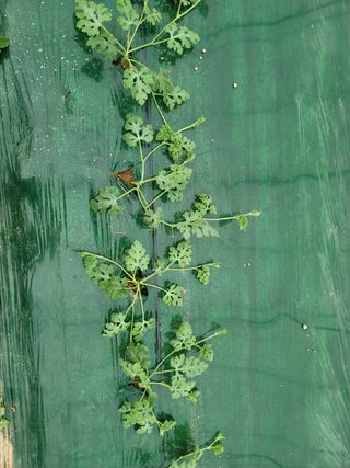 한미님의 자유주제 · 자유게시판 작성글 사진