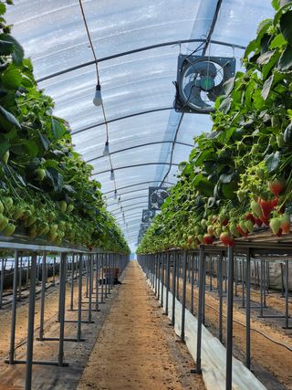 논산. 이순자님의 자유주제 · 자유게시판 작성글 사진