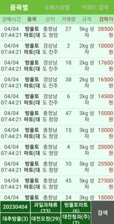 팜모닝 토마토·시세•판로 게시글 이미지