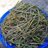 팜모닝 · 게시글 이미지