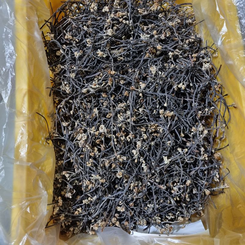 대봉매실 인생이막님의 장터 판매 상품 [자연산 햇고사리 600g1근 ] 첨부 사진