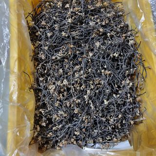 대봉매실 인생이막님의 작성글 사진