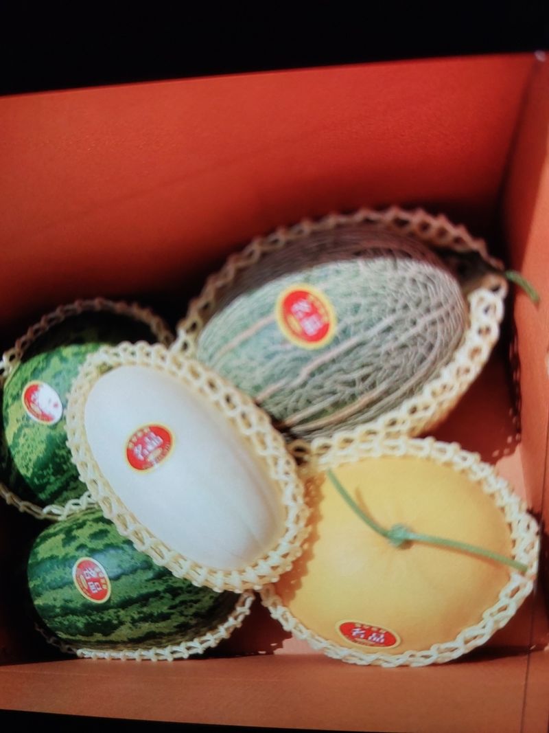 장터 상품 [메론  파파야  설향 ] 썸네일