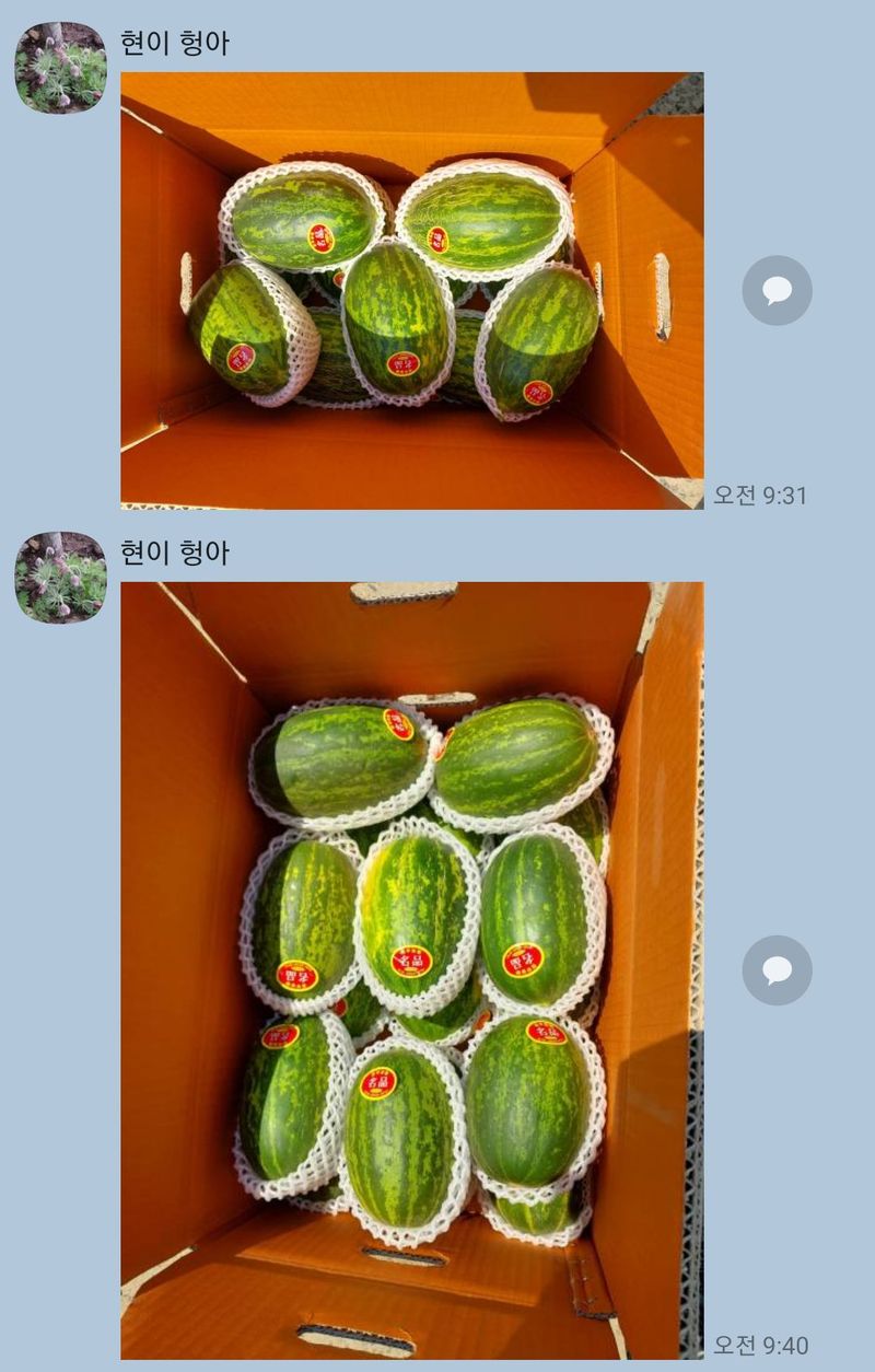 이영숙님의 장터 판매 상품 [메론  파파야  설향 ] 첨부 사진