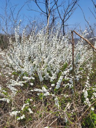 아준님의 자유주제 · 자유게시판 작성글 사진