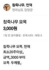 팜모닝 자유주제·칭찬해요 게시글 이미지