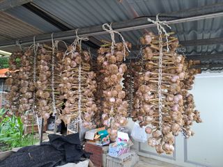 오문섭님의 자유주제 · 사진전 작성글 사진