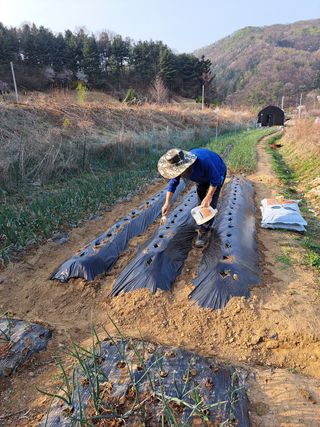 오문섭님의 자유주제 · 사진전 작성글 사진