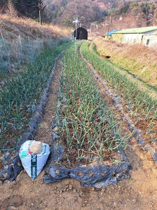 오문섭님의 자유주제 · 사진전 작성글 사진