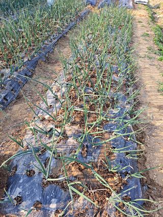 오문섭님의 자유주제 · 사진전 작성글 사진