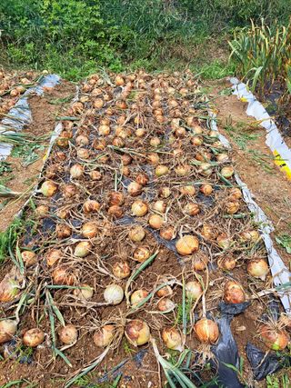 오문섭님의 자유주제 · 사진전 작성글 사진