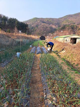 오문섭님의 자유주제 · 사진전 작성글 사진