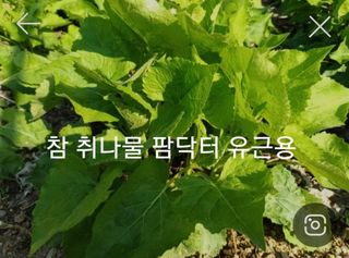 알 수 없음님의 기타작물 · 자유게시판 작성글 사진