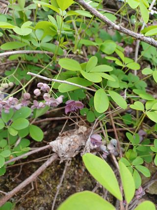 알 수 없음님의 기타작물 · 자유게시판 작성글 사진