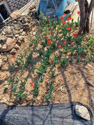 알 수 없음님의 기타작물 · 자유게시판 작성글 사진