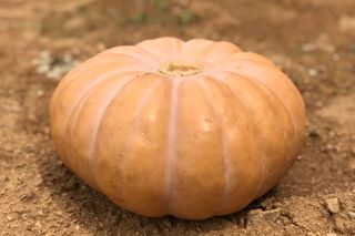 박정애님의 작성글 사진