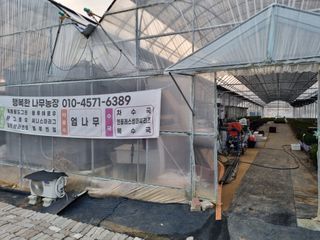 행복한나무농장님의 자유주제 · 자유게시판 작성글 사진