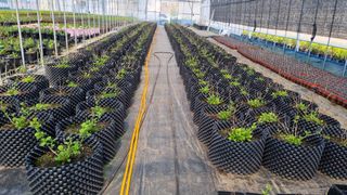 행복한나무농장님의 자유주제 · 자유게시판 작성글 사진