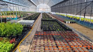 행복한나무농장님의 자유주제 · 자유게시판 작성글 사진