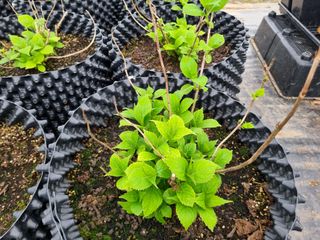 행복한나무농장님의 자유주제 · 자유게시판 작성글 사진