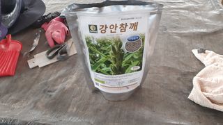 송광만님의 자유주제 · 자유게시판 작성글 사진