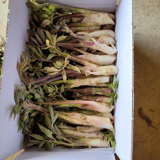 박상춘님의 작성글 사진