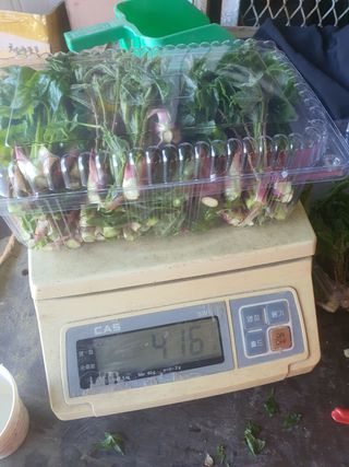 나는 나님의 작성글 사진