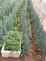 팜모닝 자유주제·사진전 게시글 이미지