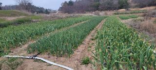 사과12816님의 자유주제 · 자유게시판 작성글 사진