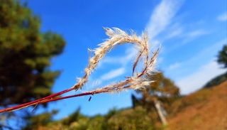 농사꾼 단비님의 우리동네 · 동네수다 작성글 사진