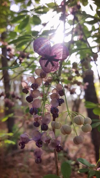 농사꾼 단비님의 우리동네 · 동네수다 작성글 사진